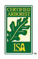 Tree Certified Arborist